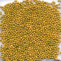 Удобрение Osmocote Bloom 2-3 м - 500 грамм